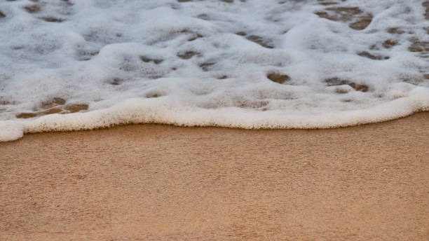 foam that has just been generated because a wave burst into the sea stock photo