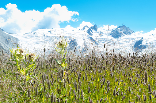 Contrast of seasons in mountain landscape on the Swiss alps