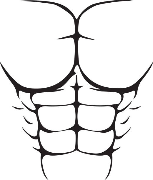 식스팩 가짜 복근. 근육질의 몸매. 흑백. 복부 근육. - strongman weightlifting human muscle men stock illustrations