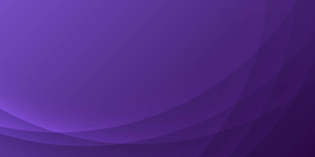 ilustrações de stock, clip art, desenhos animados e ícones de purple abstract background with curves - trendy geometric design - backgrounds purple abstract softness