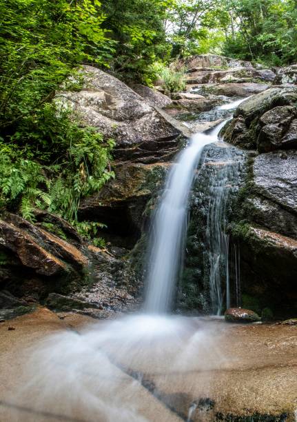 istock Vertical shot of a waterfall flowing on rocks in wild nature 1461276013