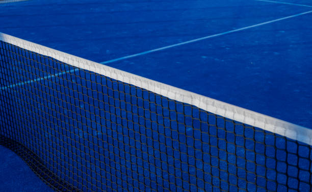 istock Partial view of a blue paddle tennis court 1461277666
