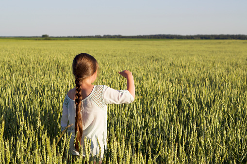 girl with long dark hair in the wheat field as a concept of peaceful time