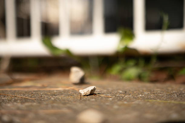 A selective focus shot of a stone on the pavement