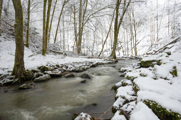 istock River flows in a forest fully covered with snow captured during the cold weather 1461279901
