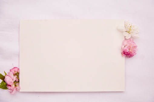 Romantic feminine stationery card mockup with spring white and pink flowers. Wedding, birthday, invitation, mother's day mock up card concept. Copy space. Top view.
