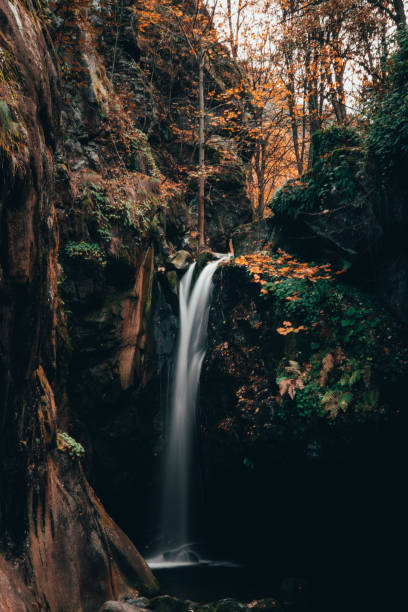 istock Beautiful shot of a waterfall in the forest 1461282452