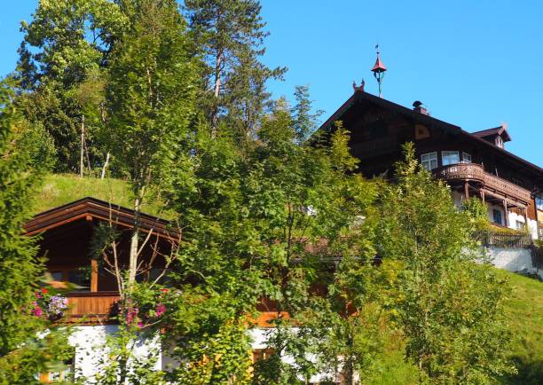 istock Traditional style house in Tyrol, Austria 1461283530