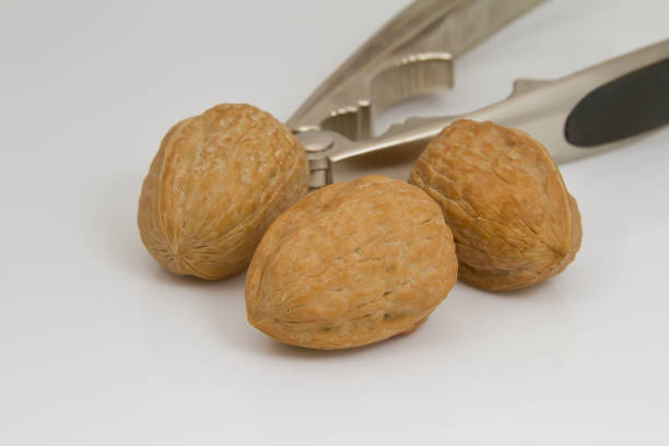 tongs for chopping walnuts and shelled walnut close up
