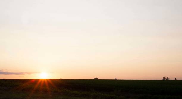 istock Beautiful view of a landscape under the bright sunset sky 1461285894