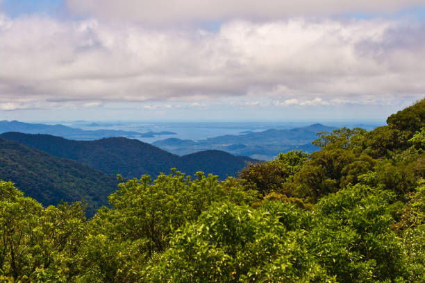 istock Top view of trees and mountains 1461287970