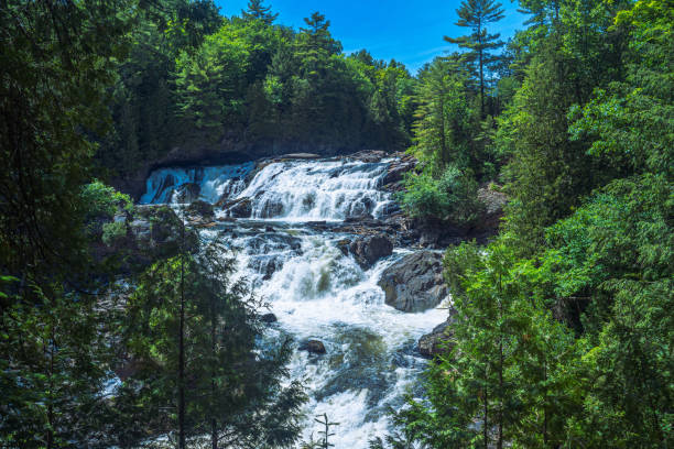 istock Beautiful view of a forest with a river and waterfall surrounded by trees in Canada 1461288109