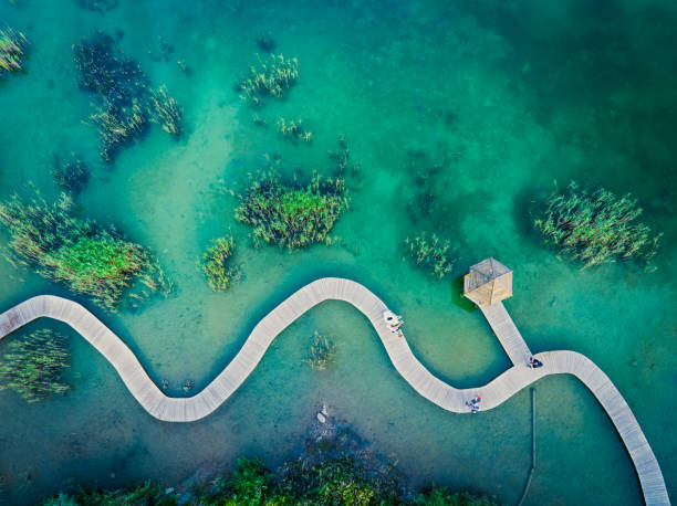 Turquiose Water and Wooden Bridge Aerial View. Turquiose Water and Wooden Bridge. Aerial Landscape. Park Grodek in Jaworzno, Poland. Polish Maldives. jetty aerial stock pictures, royalty-free photos & images
