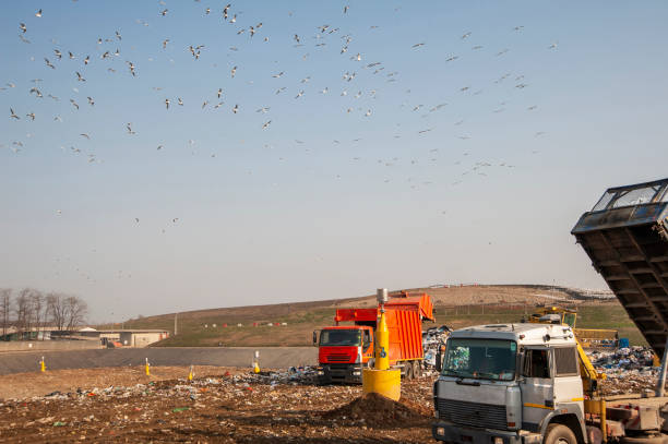 dump municipal waste. - tailings container environment pollution imagens e fotografias de stock