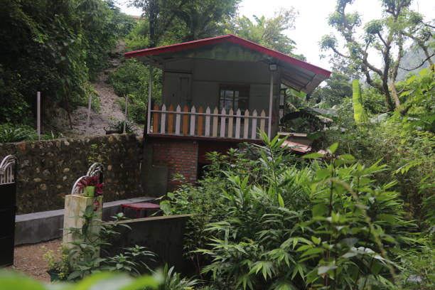 istock house in the jungle, 1461290523