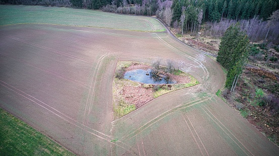 Bird's-eye view of a small pond in the middle of a field