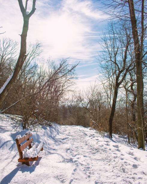 istock Wooden bench on the field covered by snow 1461292042