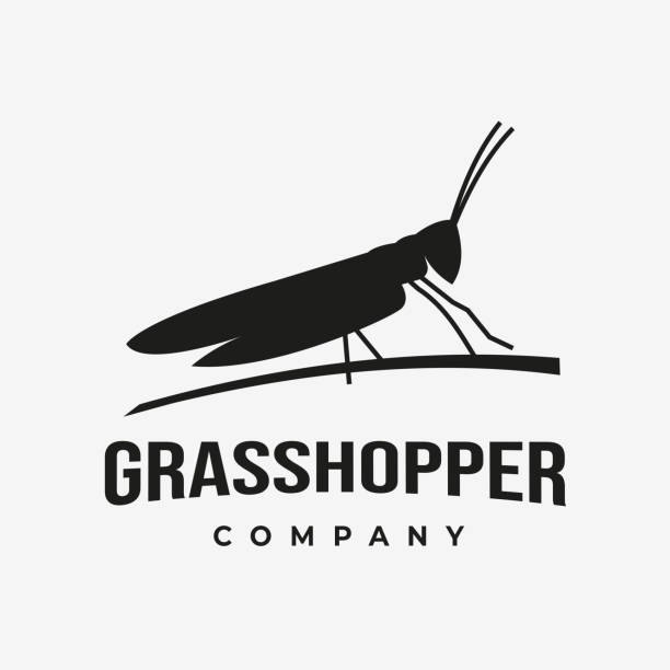 illustrazioni stock, clip art, cartoni animati e icone di tendenza di logo grasshopper silhouette con cattail reed grass, etichetta vintage vettoriale su sfondo bianco - grasshopper