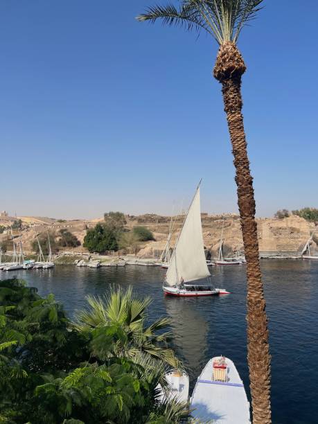 istock Boat swimming over Nile river on a sunny day, clear sky background 1461293239