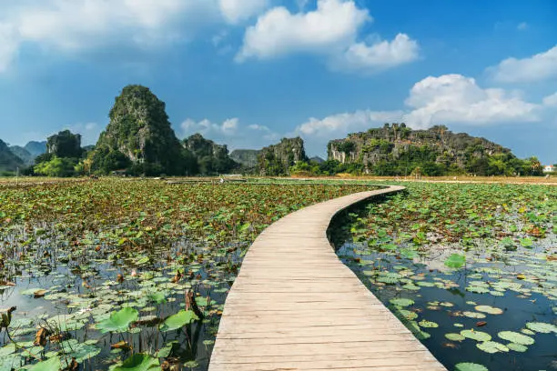 The Landscape of Ninh Binh at Tam Coc and Hang Mua in Vietnam