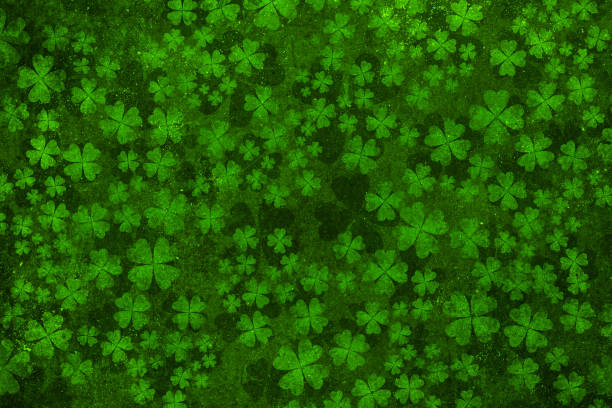 green clover leaves. St.Patrick 's Day. Spring natural background.