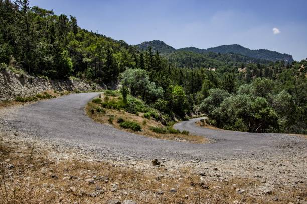 istock Asphalt raising road between green trees with blue sky in the summer 1461294438