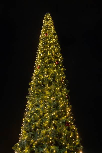 istock Vertical closeup shot of a big Christmas tree illuminated by small lightson a black sky background 1461294869