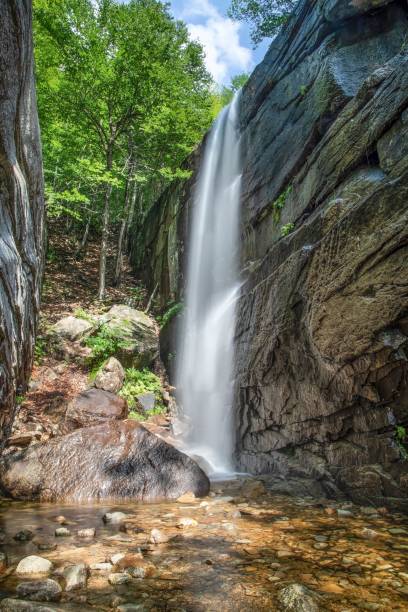istock Vertical long exposure shot of a small waterfall in a park 1461296633