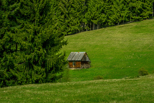 A beautiful view of a green landscape with a wooden cabin surrounded by trees