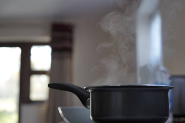 istock Closeup shot of a pan in the kithchen 1461298394
