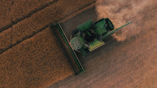 istock Combine harvester working on a wheat field 1461298564