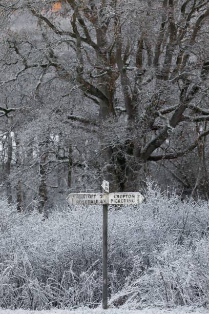 istock Sign board covered with snow in the forest 1461298890