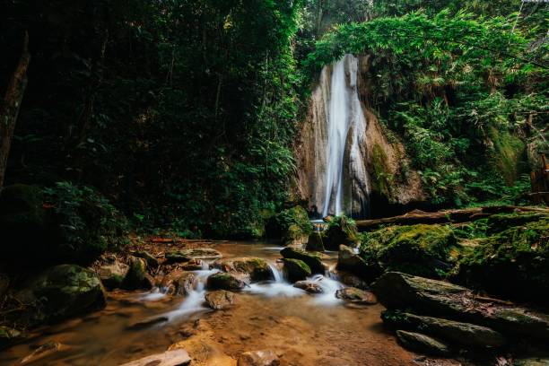 istock Scenic view of a waterfall cascading down the wall in a forest surrounded by tropical nature 1461299062