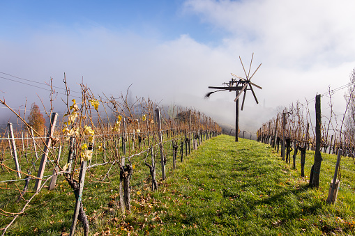 Impression from the beautiful vineyards in Southern Styria in Austria during autumn