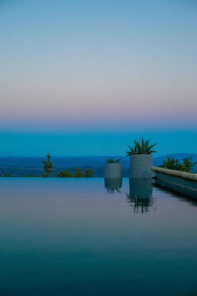 istock Vertical shot of plants by a pool during a blue sunset 1461301944
