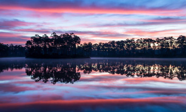 istock Beautiful sunset in Everglades national park 1461301971