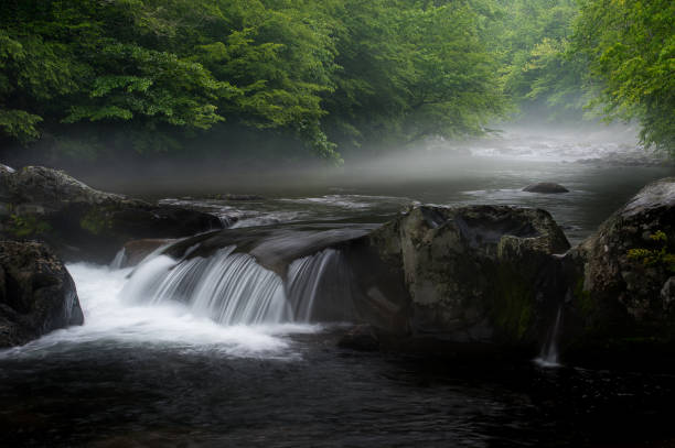 wodospad w parku narodowym great smoky mountains - great smoky mountains great smoky mountains national park forest appalachian mountains zdjęcia i obrazy z banku zdjęć