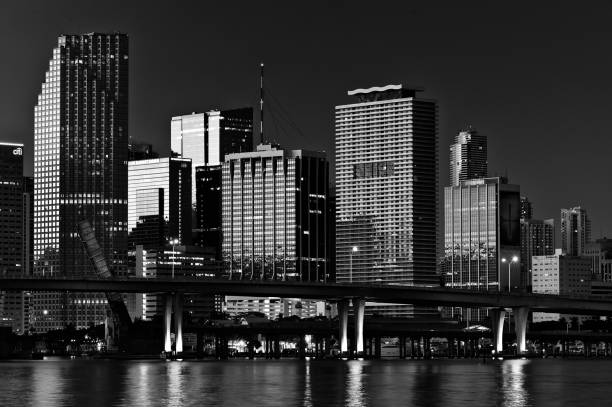 istock Grayscale cityscape of Miami, Florida at night 1461302086