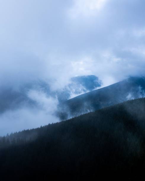 istock Drone vertical shot of fog over mountains 1461302217