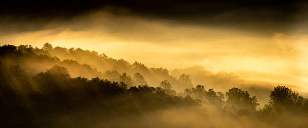 światło zachodu słońca w parku narodowym great smoky mountains - great smoky mountains great smoky mountains national park forest appalachian mountains zdjęcia i obrazy z banku zdjęć