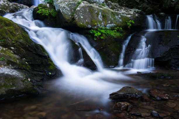 istock Waterfall in great smoky mountains national park 1461302305