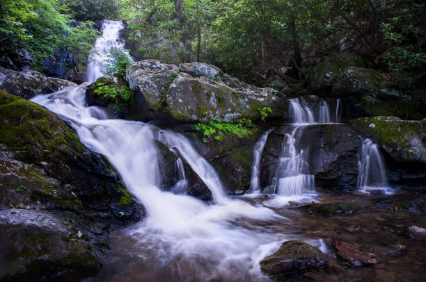 водопад в большом дымчатом горном национальном парке - great smoky mountains national park стоковые фото и изображения