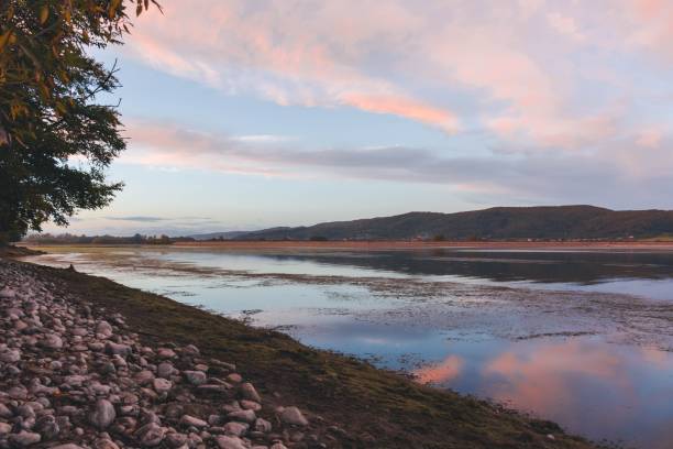 istock Landscape view at sunset with yellow grass and trees around, purple clouds background 1461302529