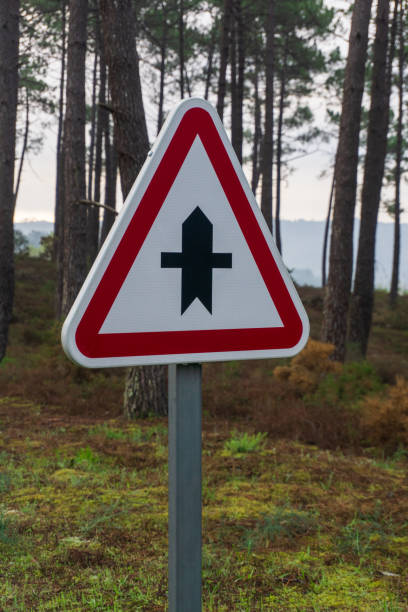 istock Crossroad warning sign on a road in a pine forest 1461303201