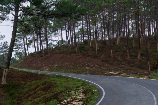 istock Road among the hills covered with coniferous forests 1461303350