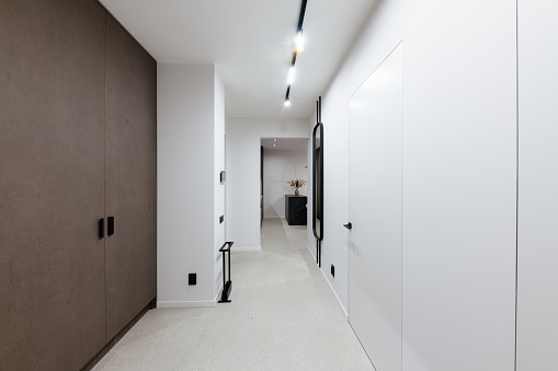 stylish interior design of a new apartment with a wardrobe in the corridor