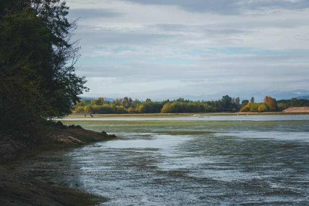 istock Beautiful, tranquil lake under a cloudy sky 1461304074