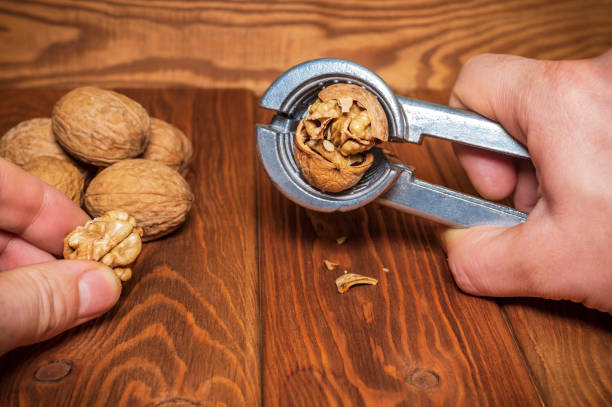 a cracked walnut with a nutcracker on a transparent background