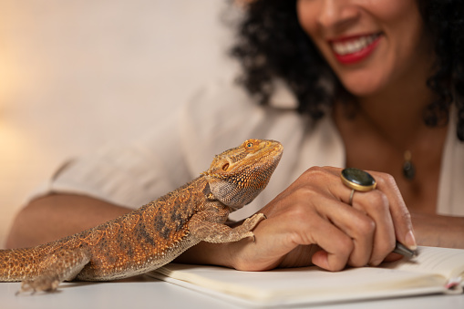 Business woman and lizard working at home