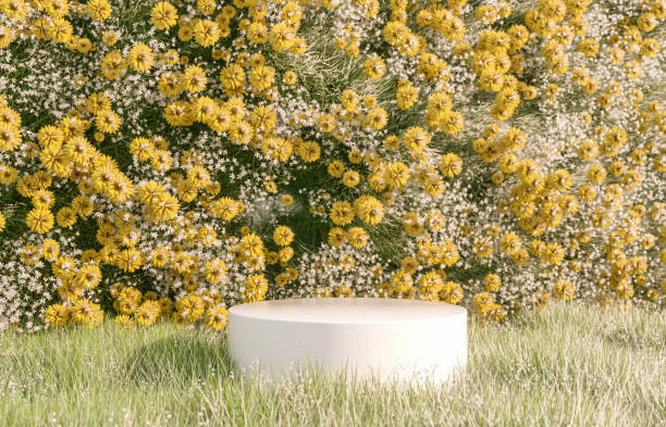 istock Natural beauty podium backdrop with spring flower field. 1461312833